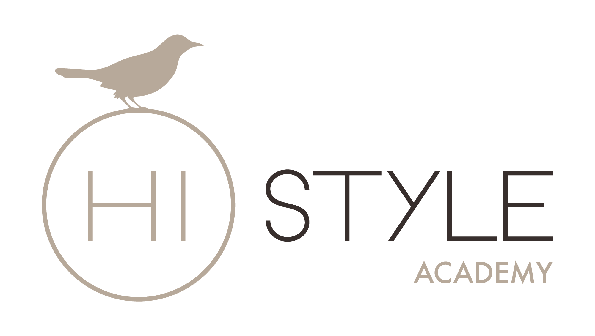 Logo Hi Style Academy